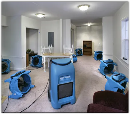 Water Mitigation Services in Andalusia, AL