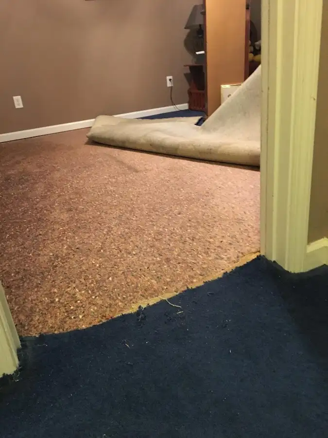 Carpet pad removal revealing water damage during Water Mitigation Services in Andalusia