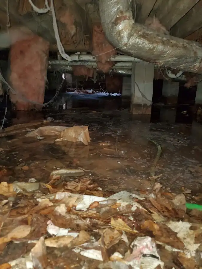 Crawl space flood assessment for Commercial Water Damage Restoration in Andalusia